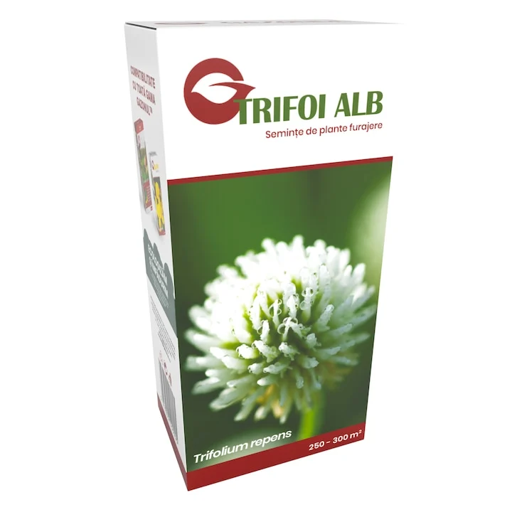 Semințe de trifoi alb Gazonul review: gazon verde cu întreținere minimă