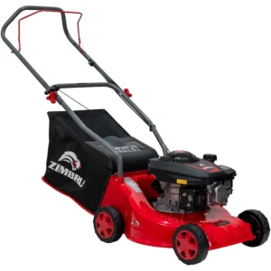 Ruris Zimbru 888XLS