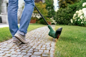 Bosch EasyGrassCut 18V-230 review: trimmer pe acumulator pentru margini curate