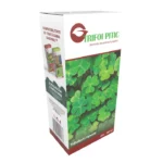 Seminte de Trifoi Pitic, Gazonul, 500g